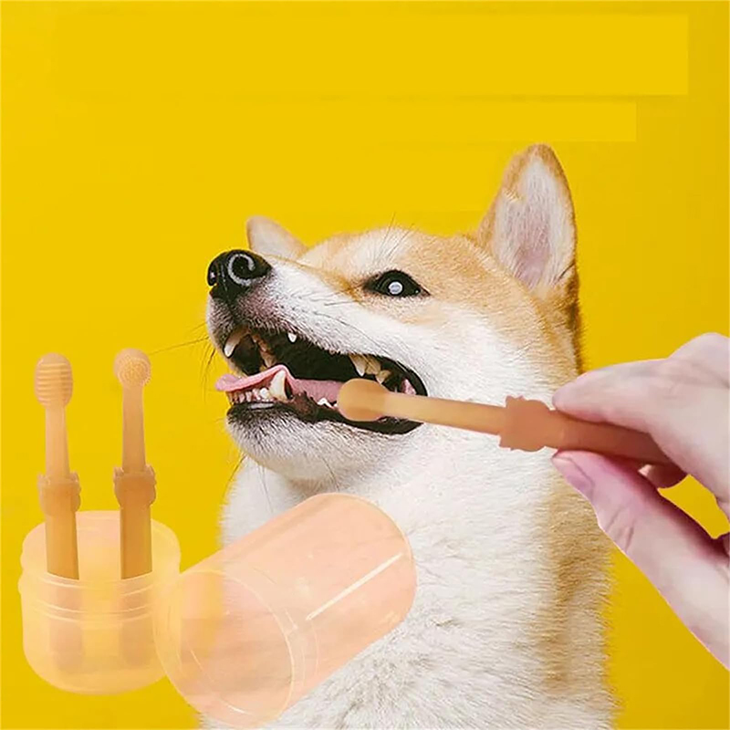 Zahnaufhellung für Hunde und K – Teeth Whitening Toothpaste Bewertung und Preis